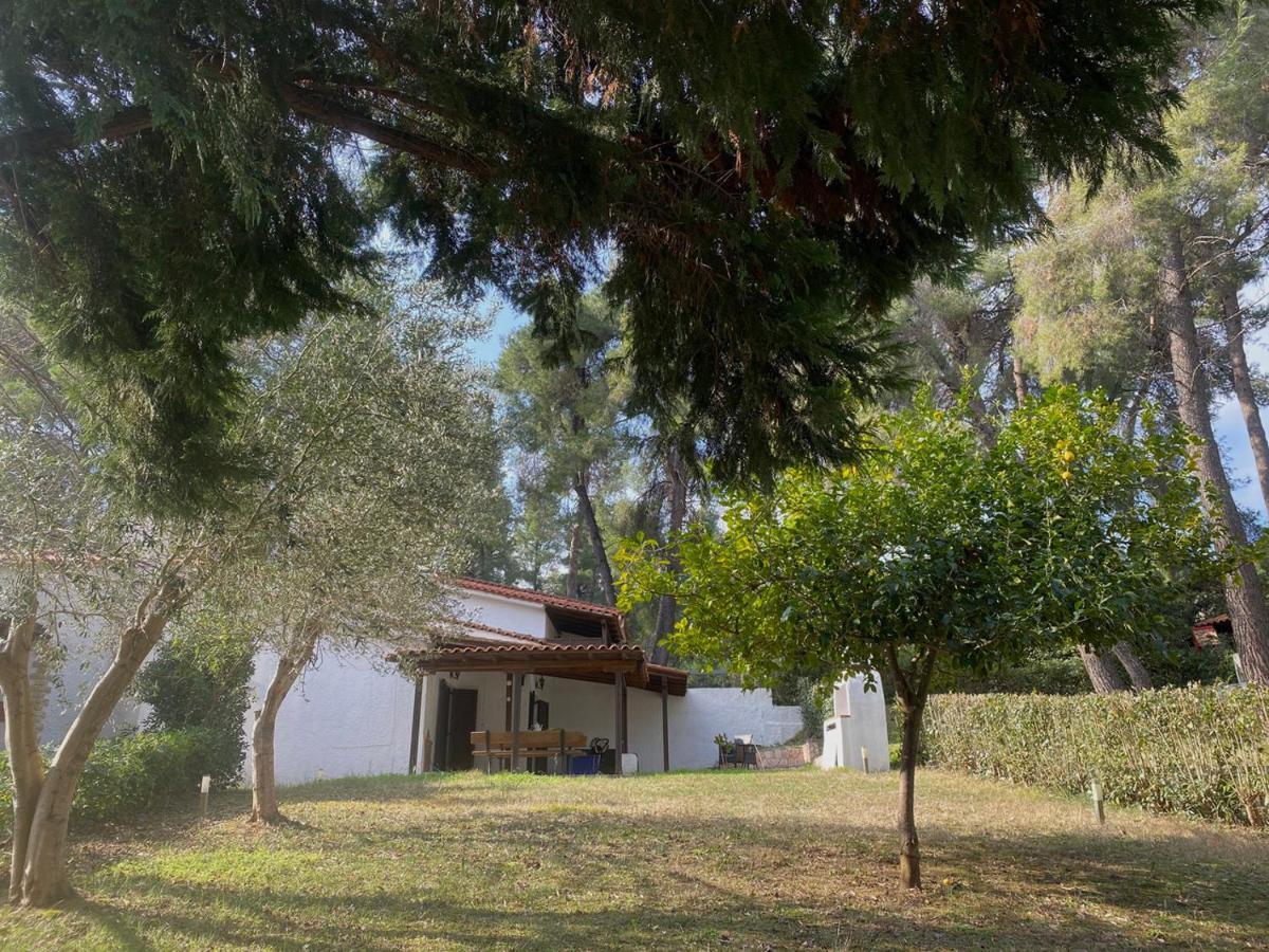 Sani Garden House Villa Екстериор снимка