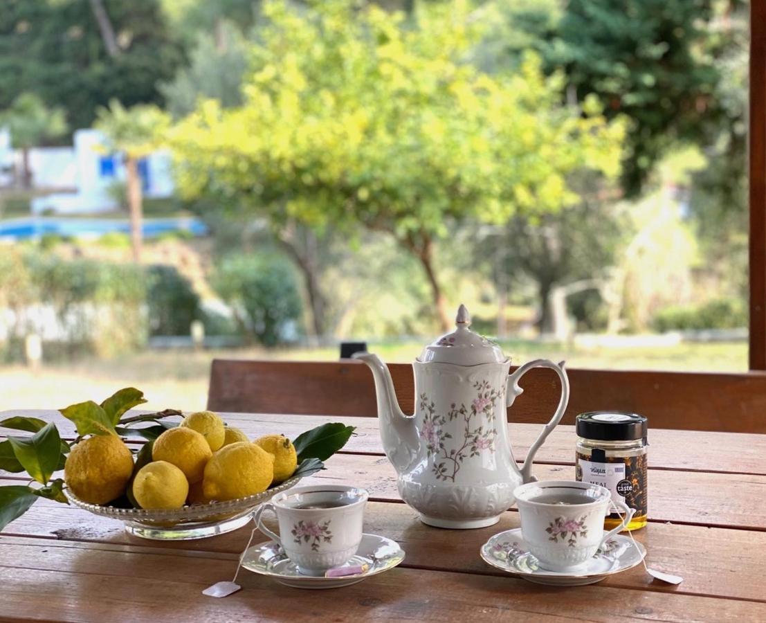 Sani Garden House Villa Екстериор снимка