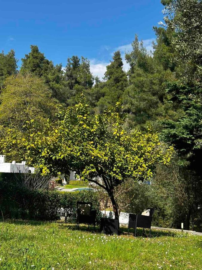 Sani Garden House Villa Екстериор снимка